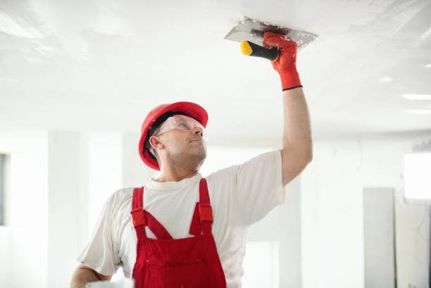 Reliable Evans, CO Drywall & Painting Services Solutions